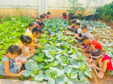 🌱🌿 HOẠT ĐỘNG NGOÀI TRỜI – LỚP A3 🌿🌱